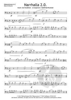 Narrhalla 2.0. von Carl Zulehner 