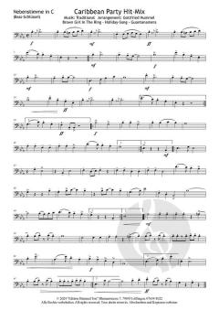 Caribbean Party Hit-Mix 