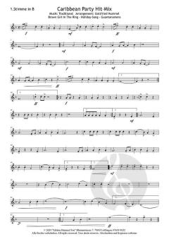 Caribbean Party Hit-Mix 
