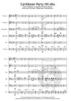 Caribbean Party Hit-Mix 