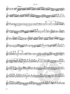 Concerto in G major, Op. 29 von Carl Stamitz 