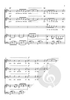 In time of silver rain (Download) 