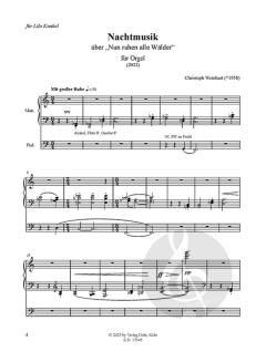 Nachtmusik über "Nun ruhen alle Wälder" 