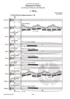 Miyazawaflutes von Marie Leinpinsel 