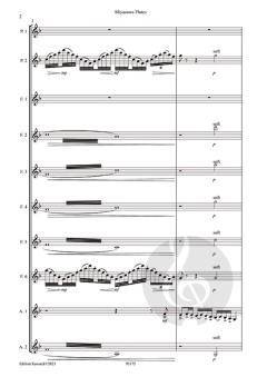 Miyazawaflutes von Marie Leinpinsel 