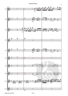 Miyazawaflutes von Marie Leinpinsel 