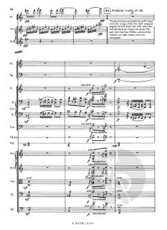 Peter und der Wolf op.67 