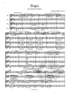 Élégie op.114 von Joseph Jongen 