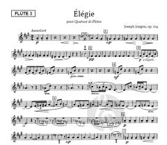 Élégie op.114 von Joseph Jongen 