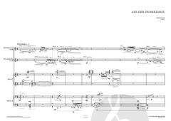 Aus der Dunkelheit von Ming Wang 