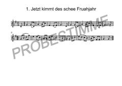 Zweisam durchs Jahr - 1. Stimme in C (Bassschlüssel) 