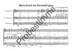 Kommet, ihr Hirten, s'wird scho glei dumba... - Direktion in C 