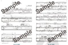 Dreaming Stone von Masa Matsuura 