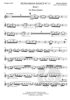 Hungarian Dance N° 11 
