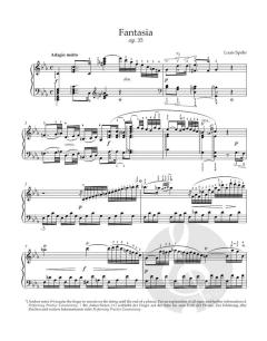 Fantasie in c-Moll op. 35 