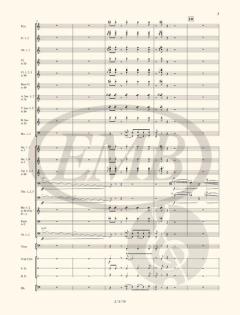 Buzzing Polka von László Dubrovay 