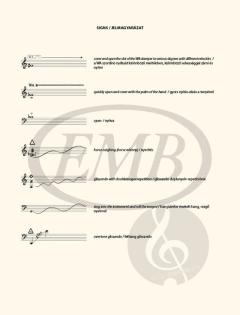 After Mozart von László Dubrovay 