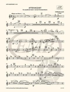 After Mozart von László Dubrovay 