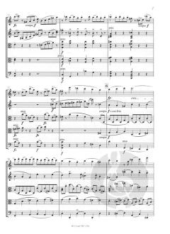 Quintett C-dur op. 68 von Adolf Busch 