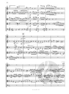 Quintett C-dur op. 68 von Adolf Busch 