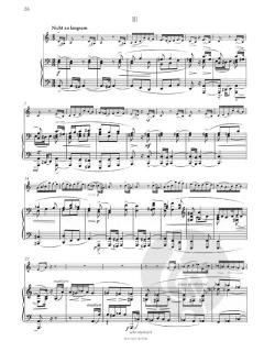 Violinsonate Nr. 1 e-moll op. 73 von Joachim Raff 