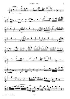 Trio Nr. 2 op. 81 von Georg Abraham Schneider 