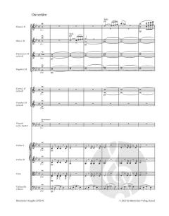 Der Spiegelritter von Franz Schubert 