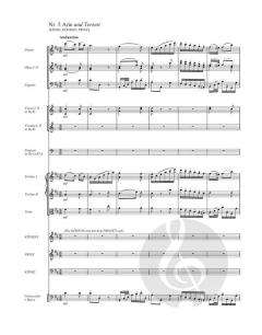 Der Spiegelritter von Franz Schubert 