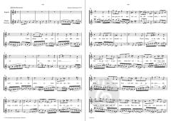 Sphärenharmonie von Johannes Bornmann 