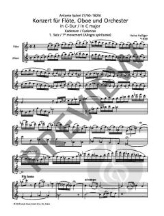 Gesammelte Kadenzen, Auszierungen und Bearbeitungen 16/2: Doppelkonzert 