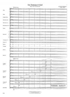Im Sommerwind von Anton Webern 
