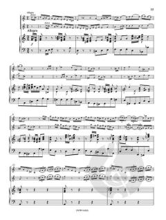 Concerto BWV 1043 D Minor von Johann Sebastian Bach 