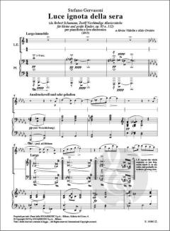 Luce ignota della sera von Stefano Gervasoni 