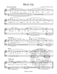 Song Book of Middle Space von Roberto Laneri 