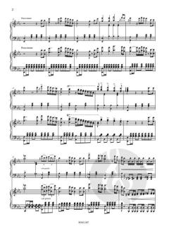 Duet on Verdi's Nabucco op. 20 