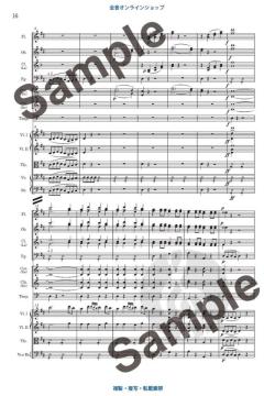 Le Nozze di Figaro KV 492  