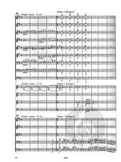 Symphonie Nr. 9 d-Moll op. 125 von Ludwig van Beethoven 