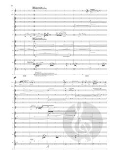 Only The Sound Remains von Kaija Saariaho (Download) 