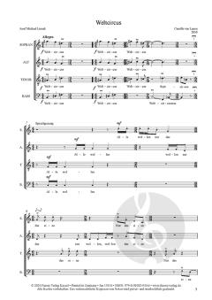 Musesehnsucht von Charlotte Sporleder 