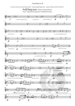 Auld lang syne (Nehmt Abschied Brüder) 