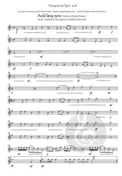 Auld lang syne (Nehmt Abschied Brüder) 