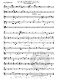 Blasmusik ist Herzmusik 