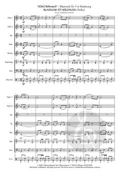 Blasmusik ist Herzmusik 