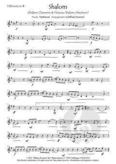 Shalom - Lieder des Frieden  