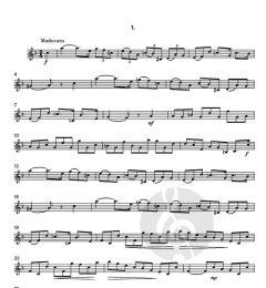 Advanced Studies von Thomas Harper 