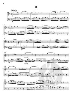 Duo Concertante von Josef Fiala 