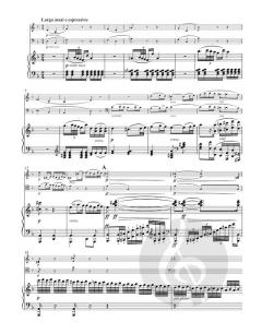 Trios für Klavier, Violine und Violoncello op. 70 