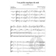 Petite musique de nuit 