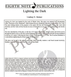 Lighting the Dark von Lindsay E. Stetner 