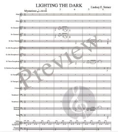 Lighting the Dark von Lindsay E. Stetner 